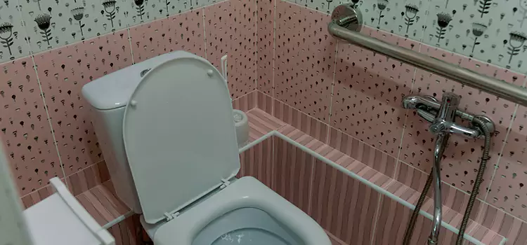Meeting Diverse Needs With Accessible Restroom Solutions in Arlington, VA